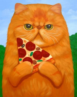 Cat Holding Pizza Paint By Numbers