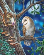 Fairy And Owl Paint By Numbers