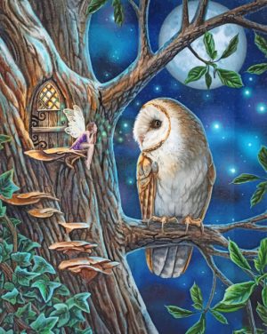 Fairy And Owl Paint By Numbers