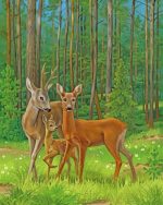 Female Deer paint by numbers
