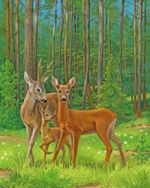 Female Deer paint by numbers