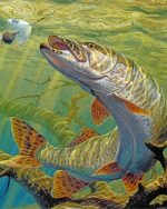 Fish Underwater Paint By Numbers