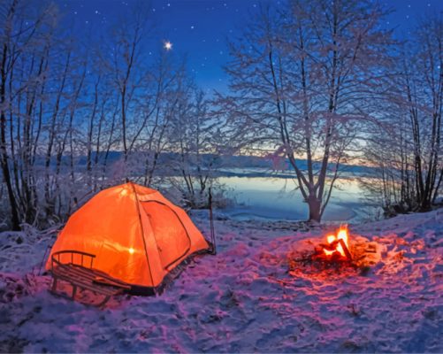 Forest Camp Trip Paint By Numbers