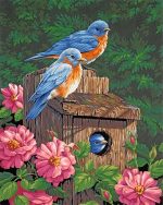 Garden Bluebirds Paint By Numbers Bluebirds paint by numbers
