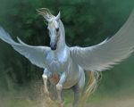 Horse With Wings Paint By Numbers