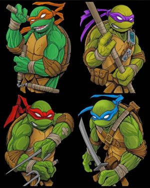 Ninja Turtles Paint By Numbers