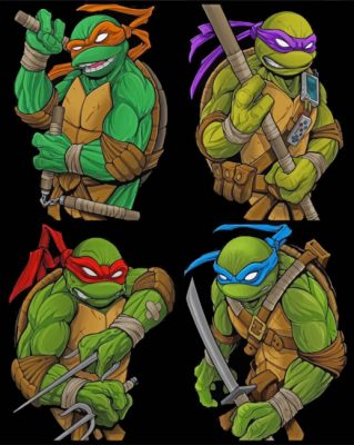 Ninja Turtles Paint By Numbers