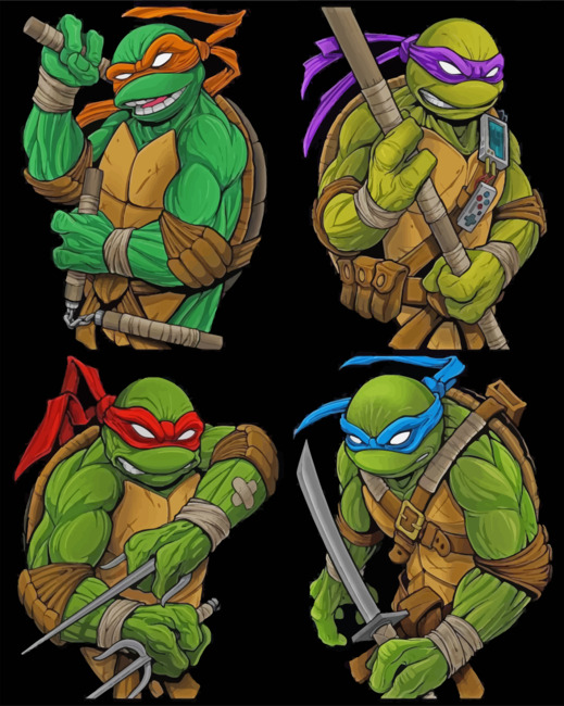 Ninja Turtles Paint By Numbers