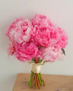Pink Peonies Bouquet Paint By Numbers