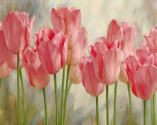 Pink Tulips Paint By Numbers