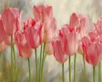 Pink Tulips Paint By Numbers