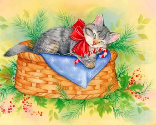 Sleepy Cat Paint By Numbers