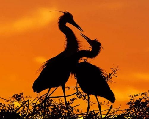 Stork Birds Silhouette Paint By Numbers