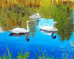 Swan Birds In Lake Paint By Numbers