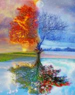 Tree Seasons Paint By Numbers