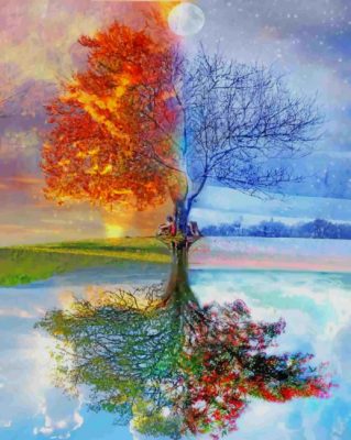 Tree Seasons Paint By Numbers
