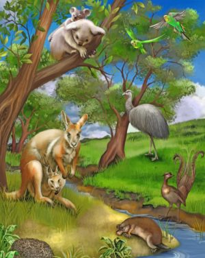 Wild Animals Paint By Numbers