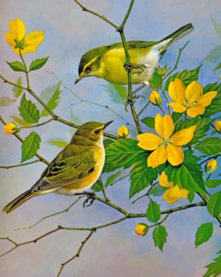 Yellow Finch Birds Paint By Numbers