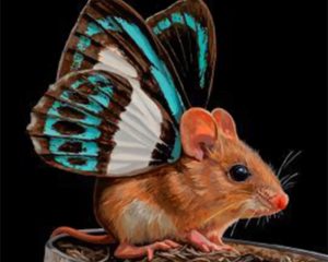 Butterfly Mouse Paint By Numbers
