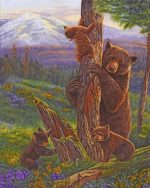 Bear And Cubs Paint By Numbers