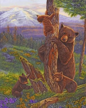 Bear And Cubs Paint By Numbers