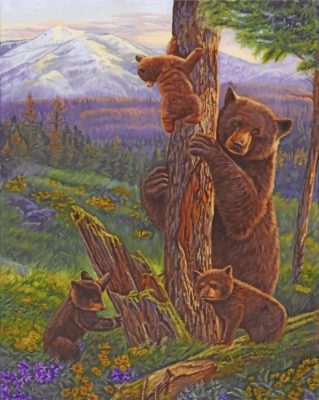 Bear And Cubs Paint By Numbers