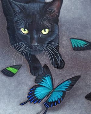 Black Cat And Butterflies Paint By Numbers