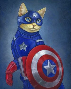 Captain America Cat Paint By Numbers
