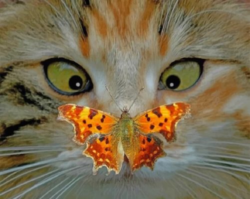 Cat And Butterfly Paint By Numbers