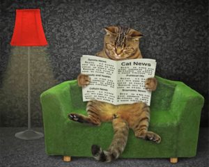 Cat Reading News Paper Paint By Numbers