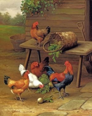Poultry In A Barnyard Paint By Numbers