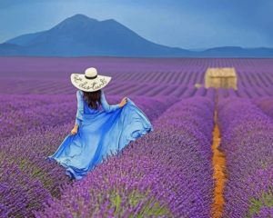 Woman In Lavender Field paint By Numbers