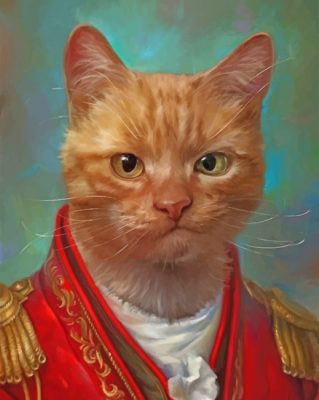 Mad Mr Cat Paint By Numbers