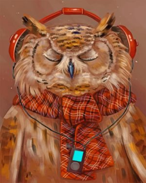 Owl Wearing Headphones Paint By Numbers