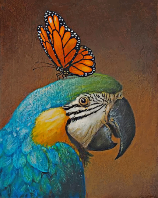 Parrot And Butterfly Paint By Numbers