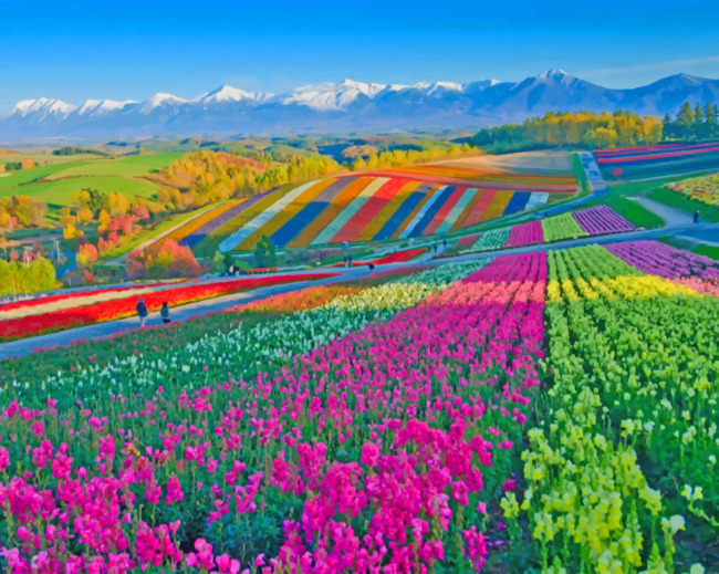 Colorful Flower Field paint by number