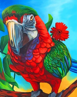 Macaw Bird paint by number