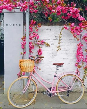 Pink Bike With Flowers paint by number