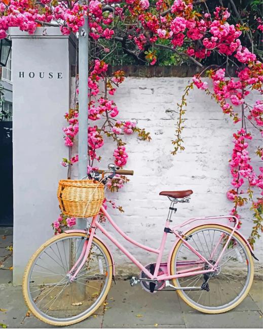 Pink Bike With Flowers paint by number