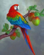 Apples And Parrot Paint By Numbers