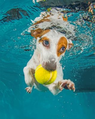 Jack Russell Underwater Paiint by numbers