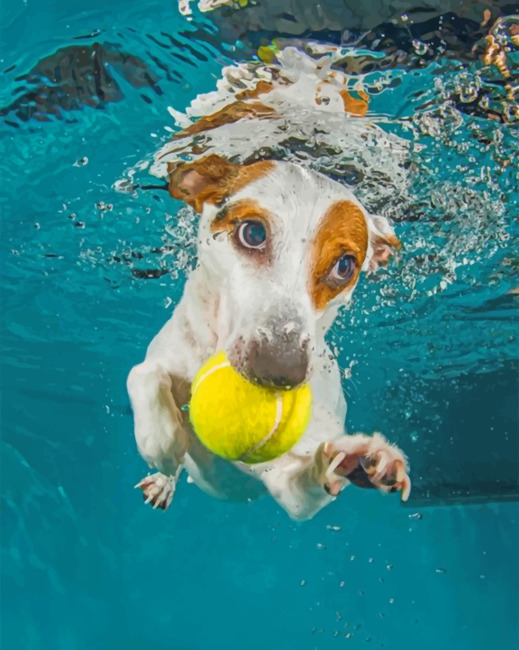 Jack Russell Underwater Paiint by numbers