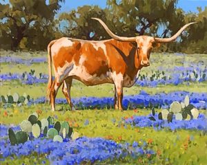Longhorn Steer Paint By Numbers