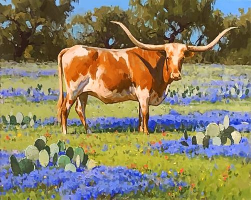 Longhorn Steer Paint By Numbers