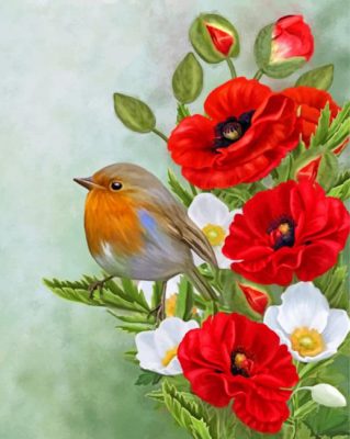 Robin On Poppy Flowers Paint By Numbers