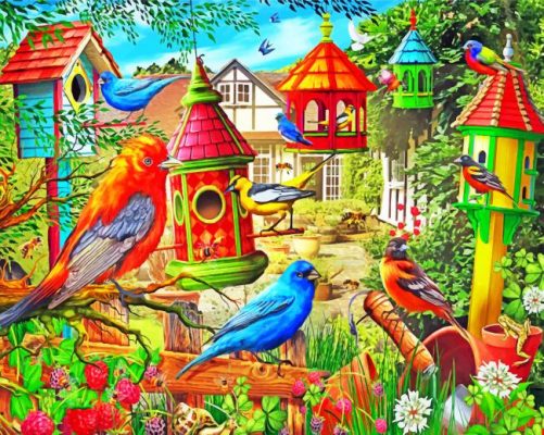 Garden Birds Paint By Numbers