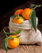 aesthetic-mandarine-paint-by-numbers