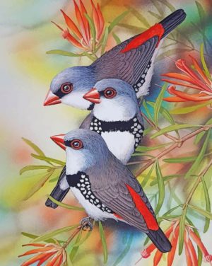 Diamond Firetail Birds Paint By Numbers