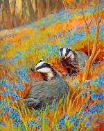 Two Badgers Paint By Numbers