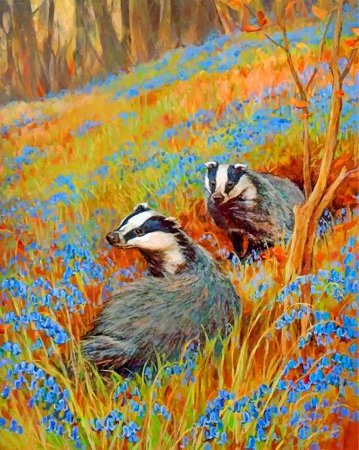 Two Badgers Paint By Numbers